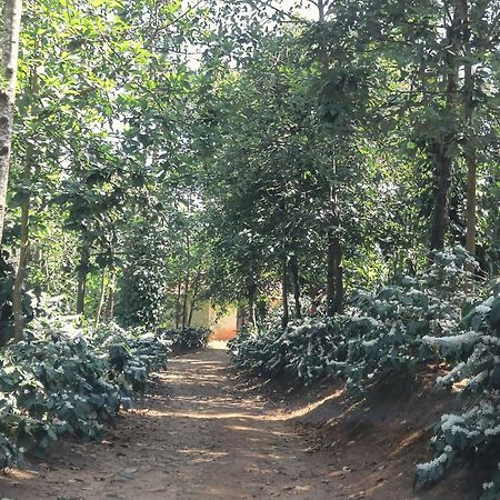 Jp Homestay Somwarpet Coorg Hangal Exterior foto